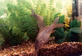 Interesant III :) - imjjhages.jpeg